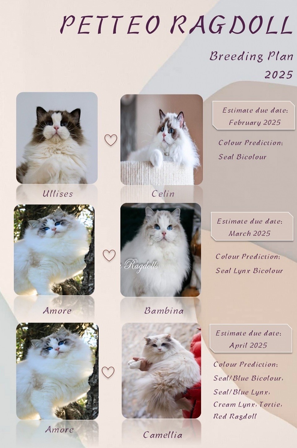 Breeding plan