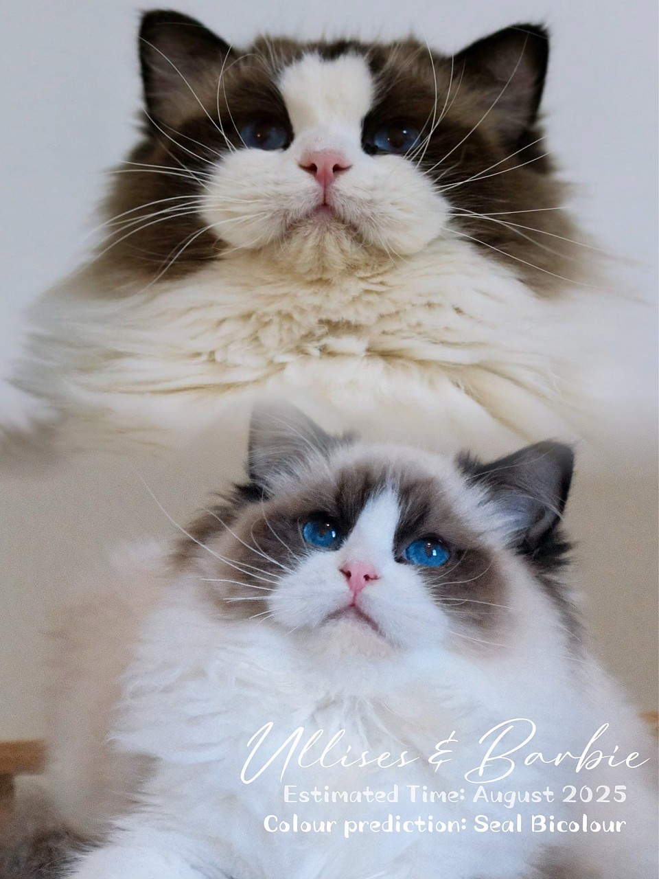 Ullises & Barbie