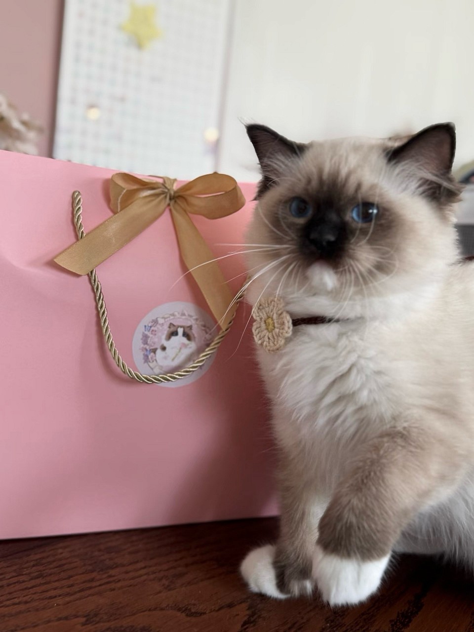 Every adoption includes preparation, documentation, and support.