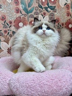 9 months old
