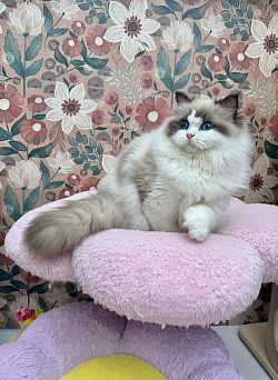 9 months old